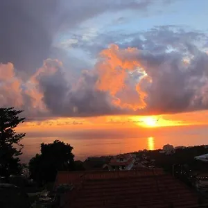 Madeira House Vakantiehuis
